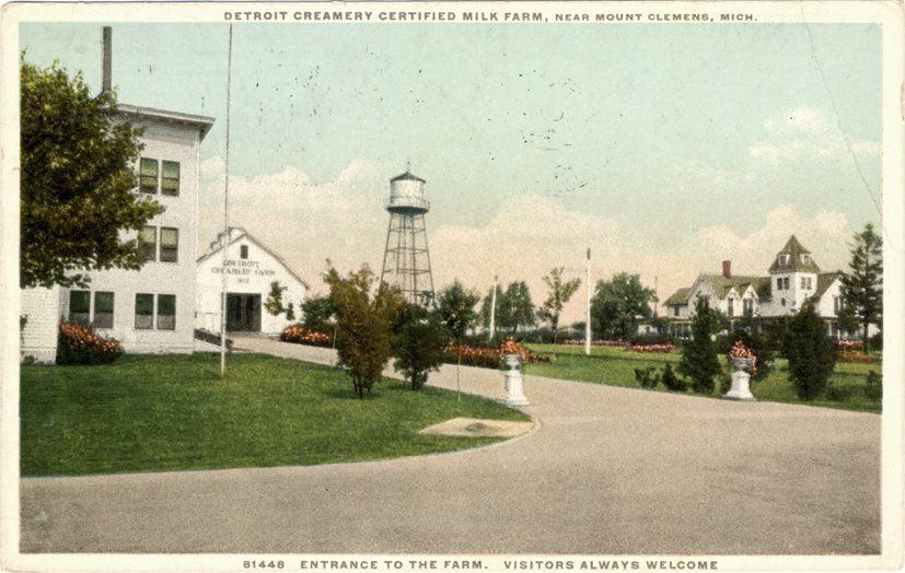 Detroit Creamery milk farm