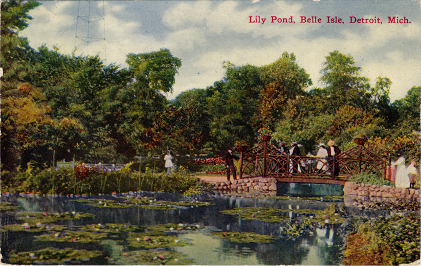 Lily pond on Belle Isle