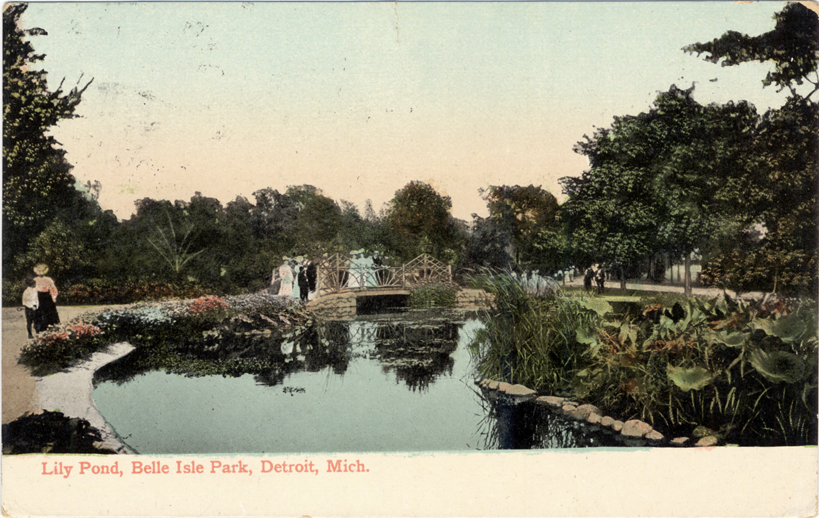 Lily pond on Belle Isle