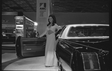 Detroit Auto Show model
