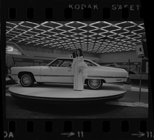 Detroit Auto Show model