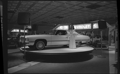 Detroit Auto Show model