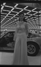 Detroit Auto Show model