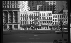 Businesses on Woodward Avenue