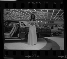 Detroit Auto Show model