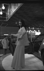 Detroit Auto Show model