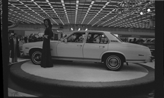Detroit Auto Show model