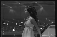Detroit Auto Show model