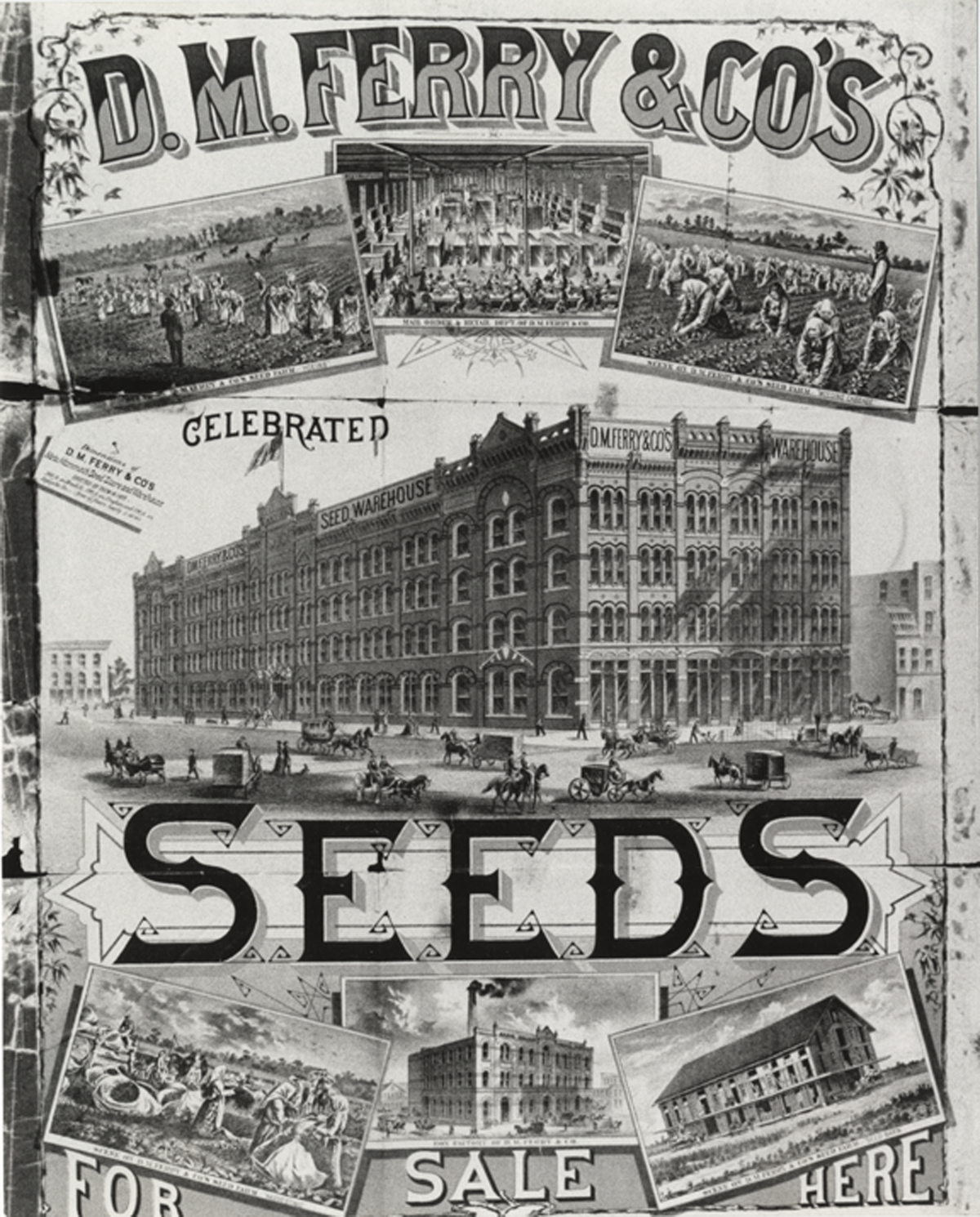D.M. Ferry & Co. poster