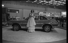 Detroit Auto Show model