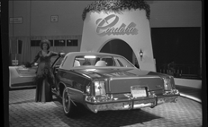 Detroit Auto Show model