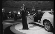 Detroit Auto Show model