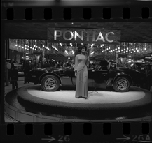 Detroit Auto Show model