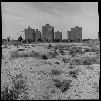 Brewster-Douglass Housing Projects