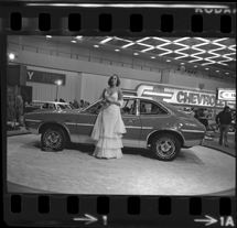 Detroit Auto Show model