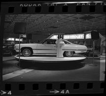 Detroit Auto Show model