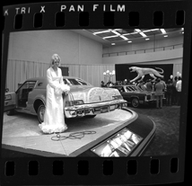 Detroit Auto Show model