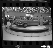 Detroit Auto Show model
