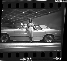 Detroit Auto Show model