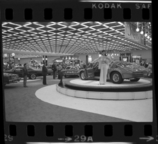 Detroit Auto Show model
