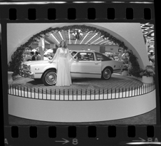 Detroit Auto Show model