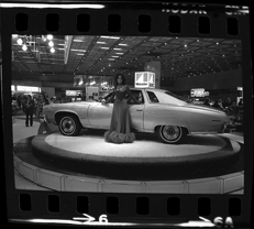 Detroit Auto Show model