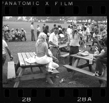 Crowd in picnic area, Bob-Lo Island