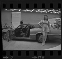 Detroit Auto Show model
