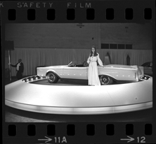 Detroit Auto Show model