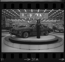 Detroit Auto Show model