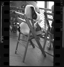 Stuffed animal on chair, Bob-Lo ferry
