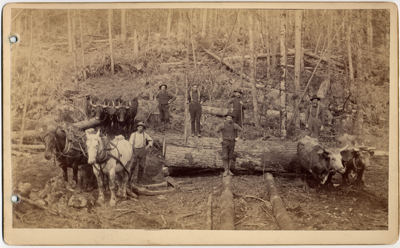 Logging crew