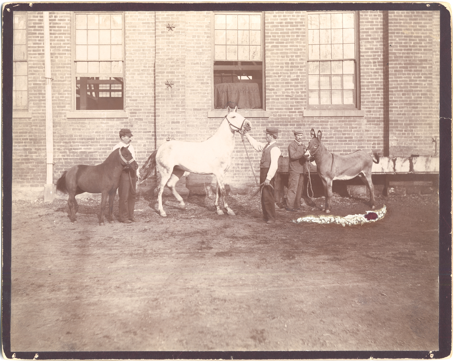 Parke, Davis & Company