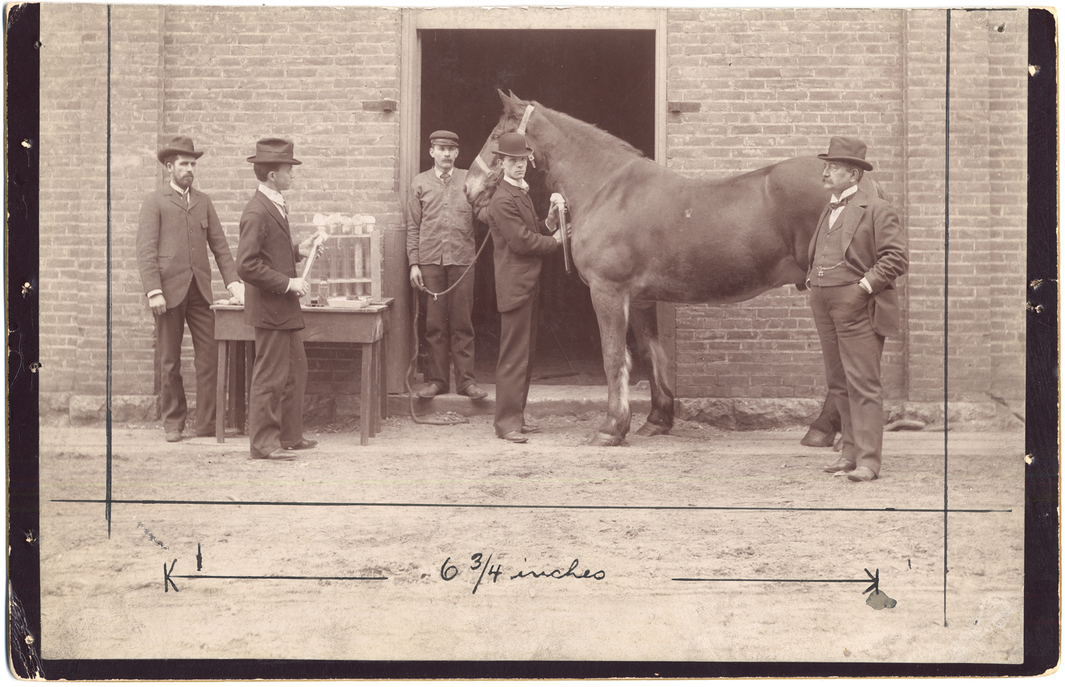 Parke, Davis & Company