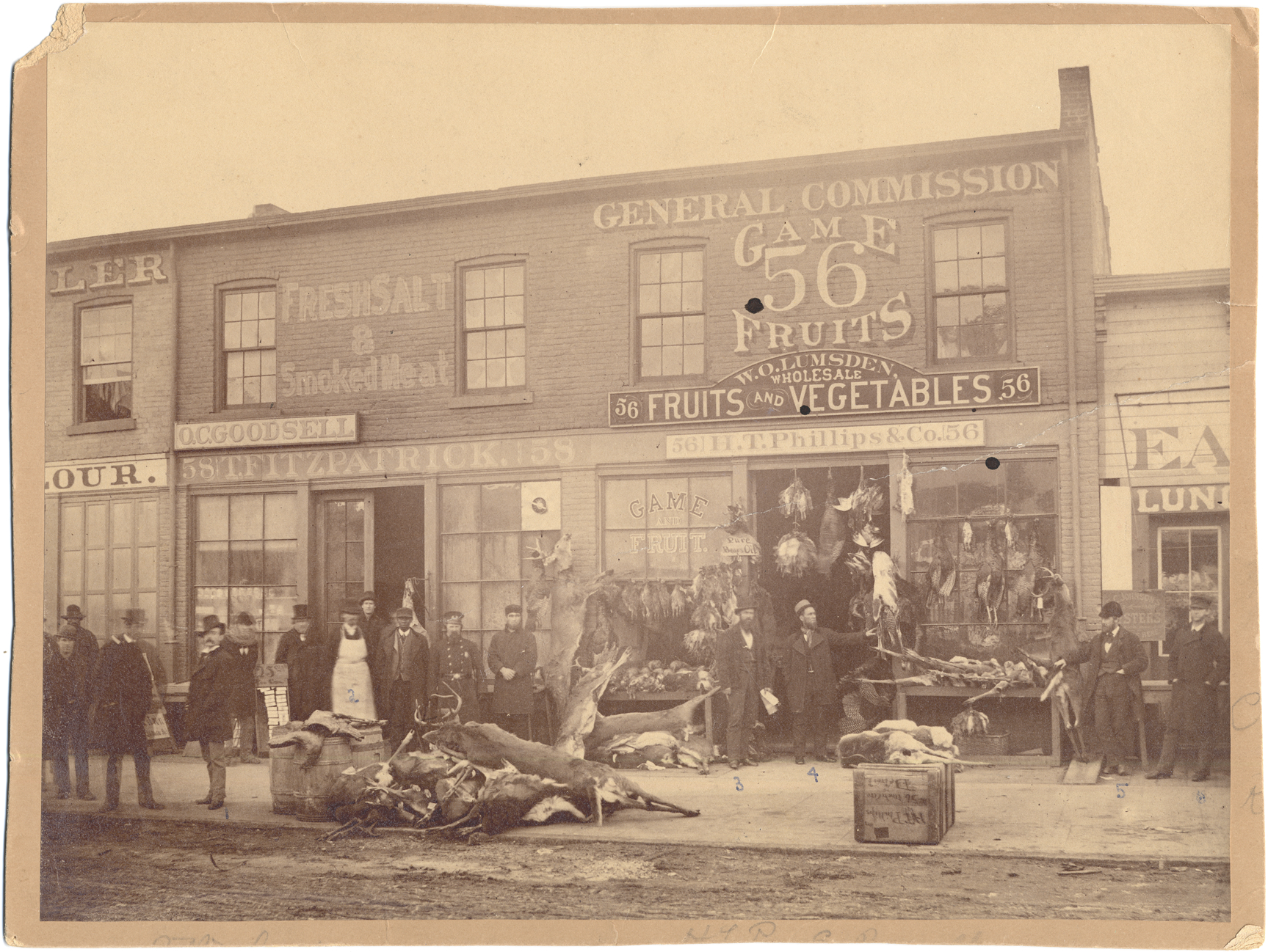 Henry T. Phillips & Co.
