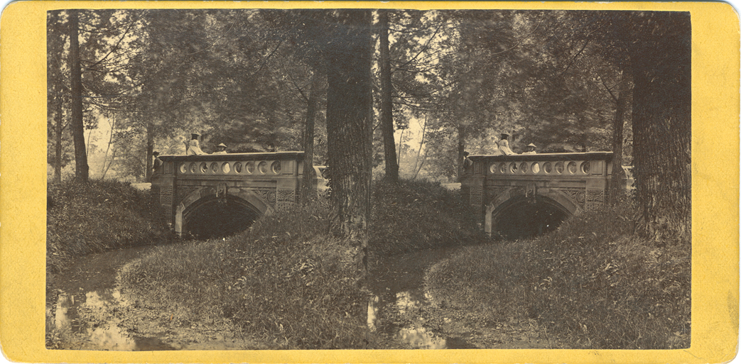 Bridge in Elmwood Cemetery