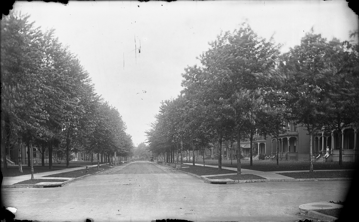 Tree-lined Canfield Avenue