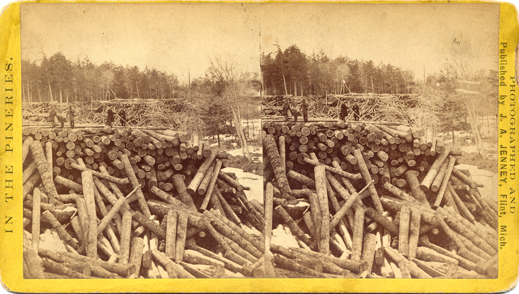 Group of people standing on immense log pile