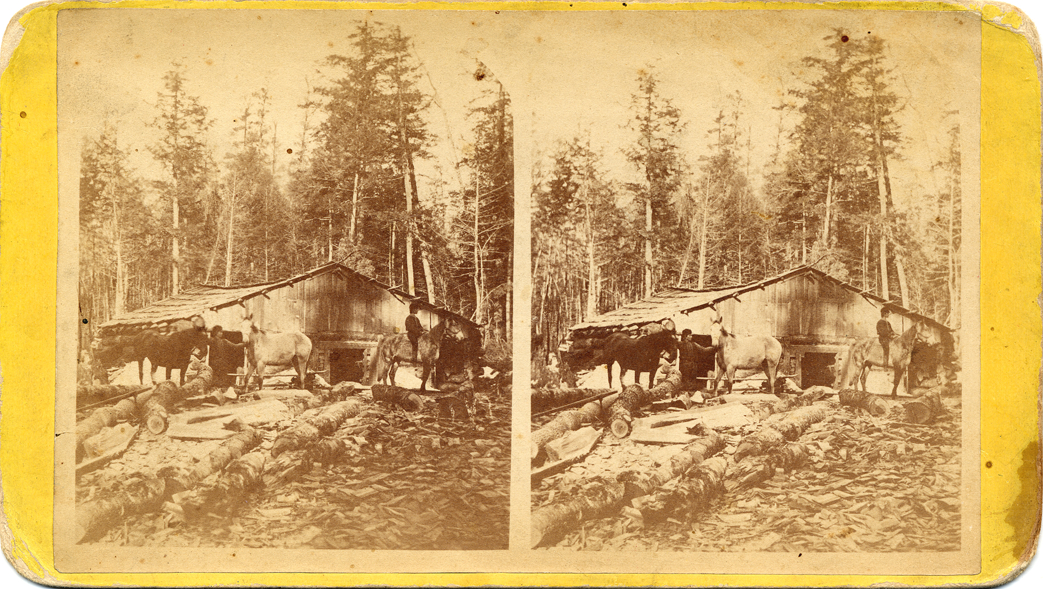 Horses and barn at lumber camp