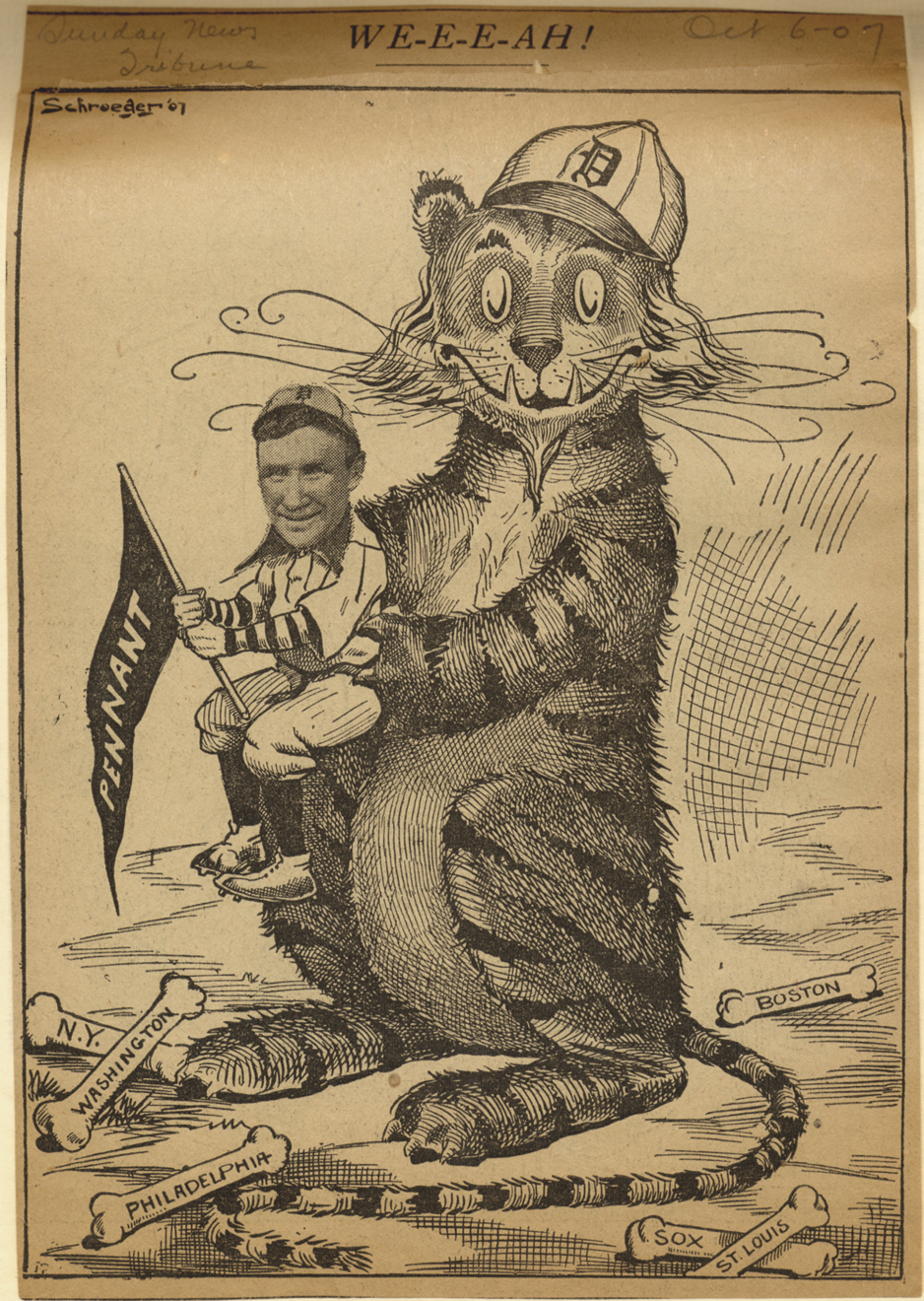 Baseball cartoon