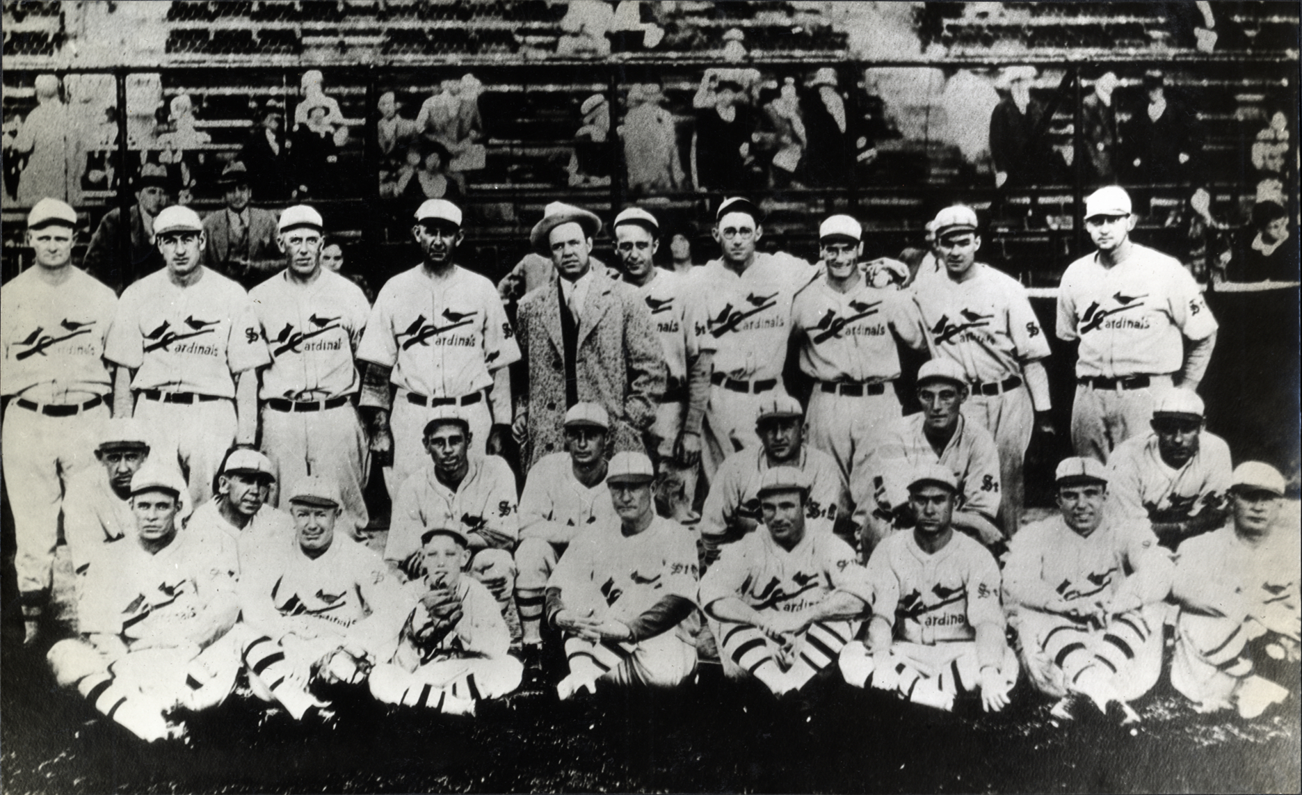 ST.Louis Cardinals - Cardinals Established 1892, Baseball Team - FridayStuff