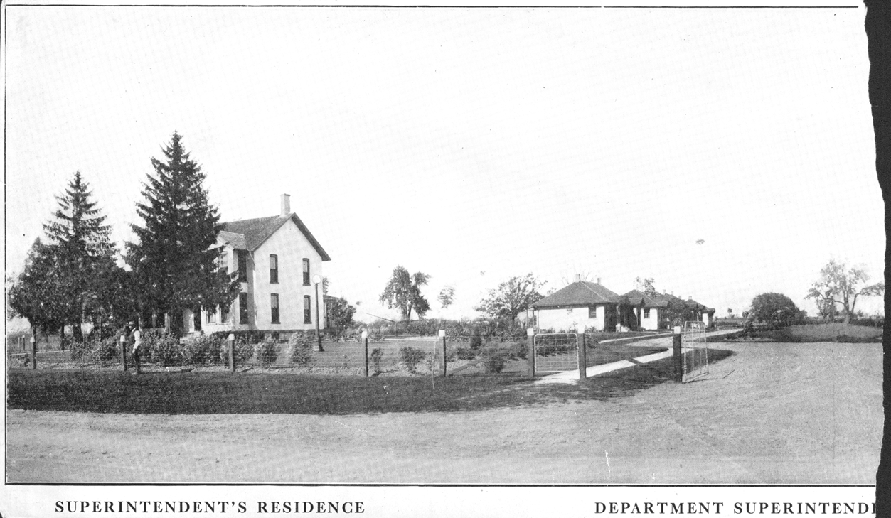 D.M. Ferry Seed Farms