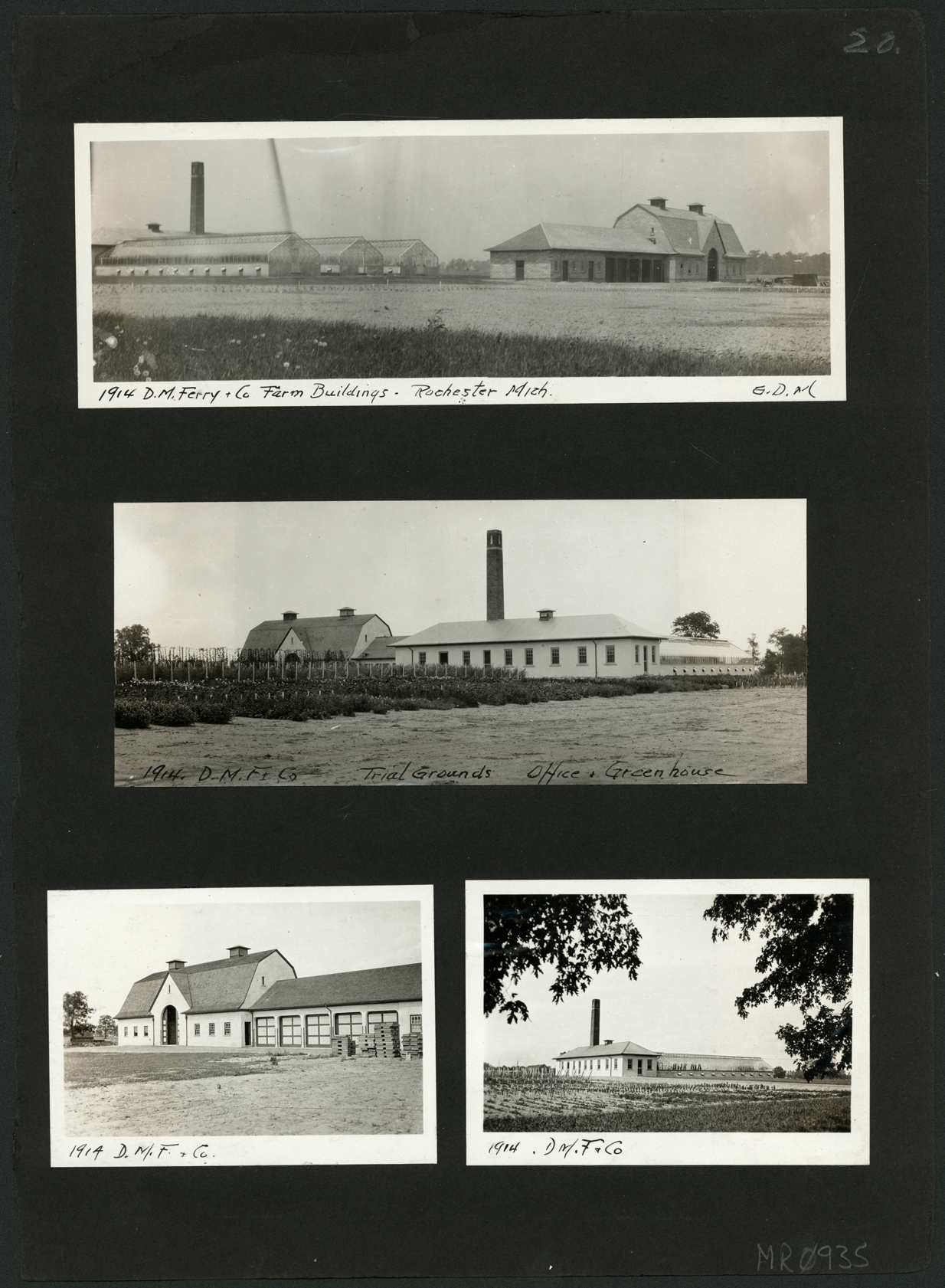D.M. Ferry Seed Farms