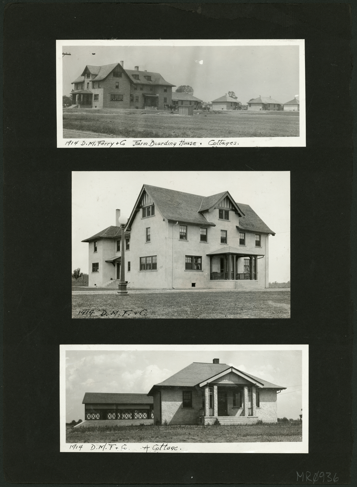 D.M. Ferry Seed Farms