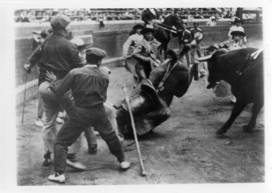 Bullfight