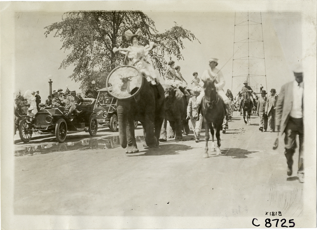 Women riding elephants in parade, Elks Club convention, Detroit, Michigan