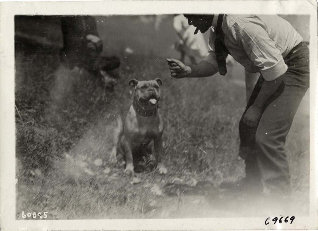 Man with dog, 1910 Dead Horse Hill Climb