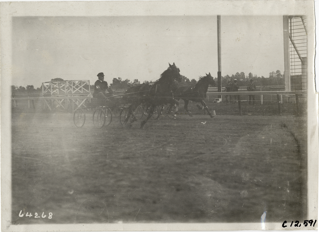 Harness race, Empire City track