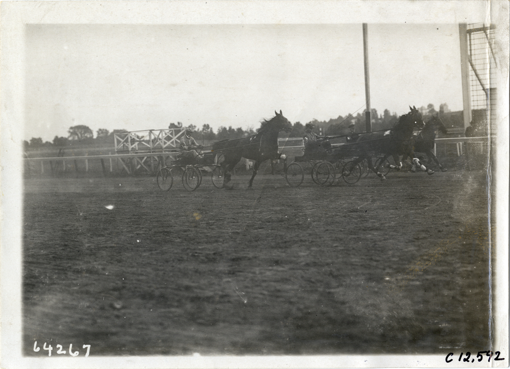 Harness race, Empire City track