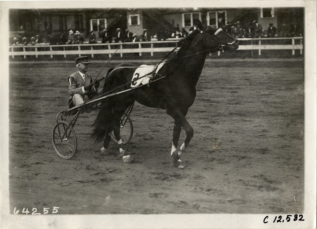 Harness driver and racehorse, Empire City track